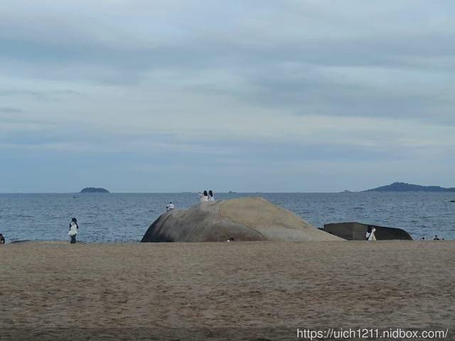 廈門之旅7