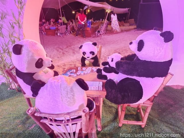 廈門之旅7