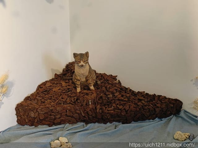 屏東看海美術館