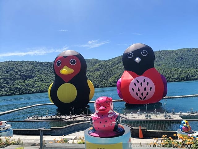 花蓮紅面鴨之旅 - 第9張圖 花蓮紅面鴨之旅