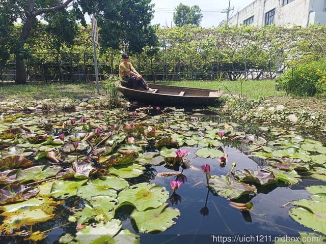 南部之旅 - 第15張圖 南部之旅