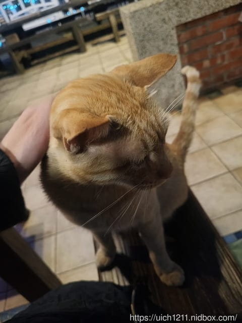 今年中秋節