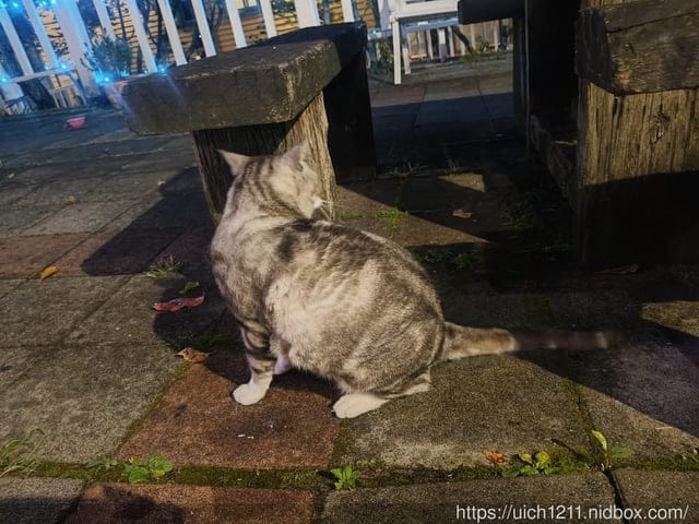 今年中秋節