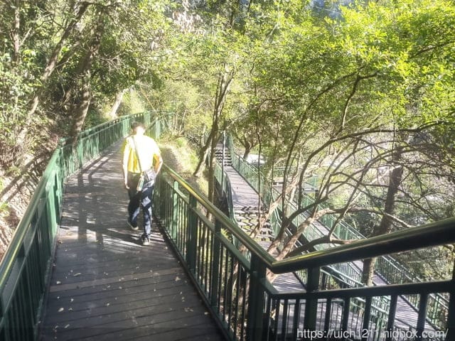 高美濕地 - 第11張圖 高美濕地