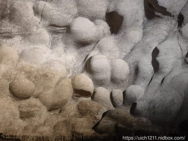 北越旅遊2