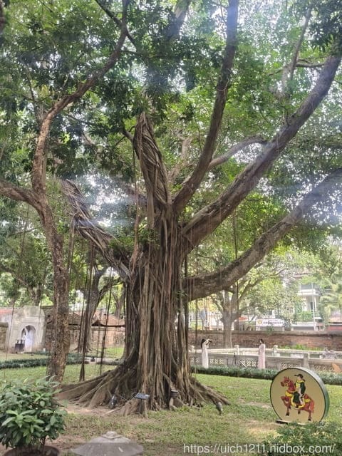北越之旅完結篇 - 第16張圖 北越之旅完結篇