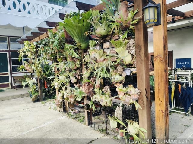山上村 hill cafe - 第5張圖 山上村 hill cafe