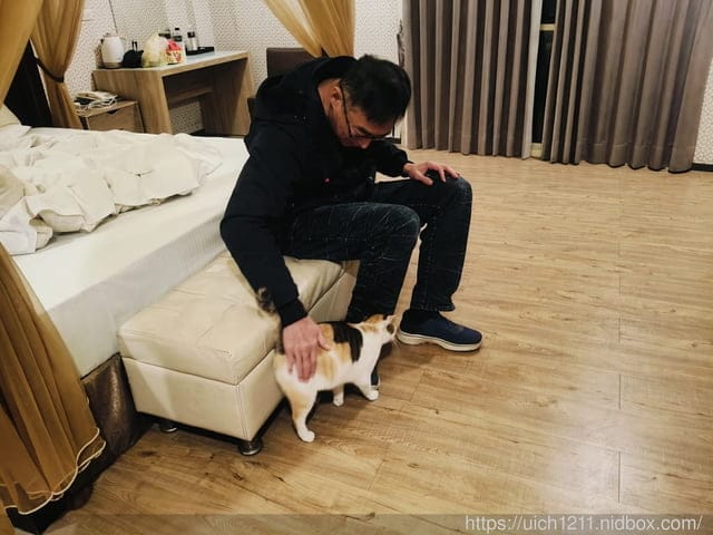 苗栗獅潭鄉之旅