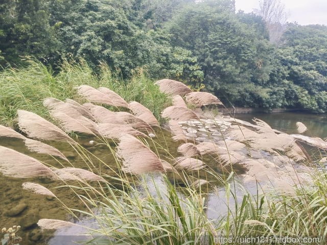 苗栗獅潭鄉之旅