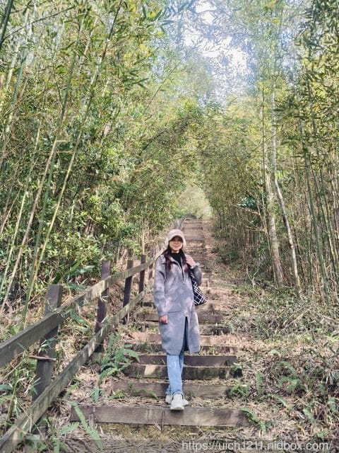 苗栗獅潭鄉之旅