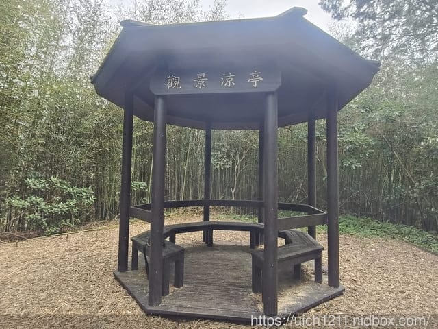 苗栗獅潭鄉之旅