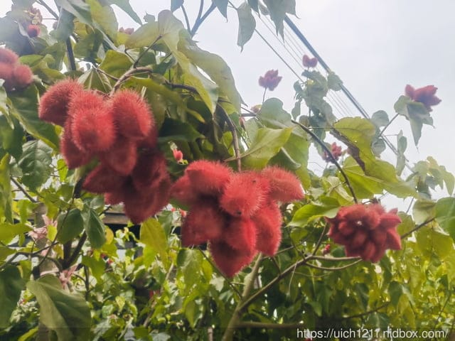 苗栗獅潭鄉之旅