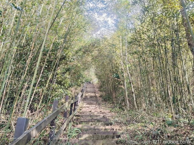 苗栗獅潭鄉之旅