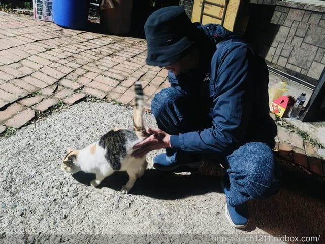 苗栗獅潭鄉之旅