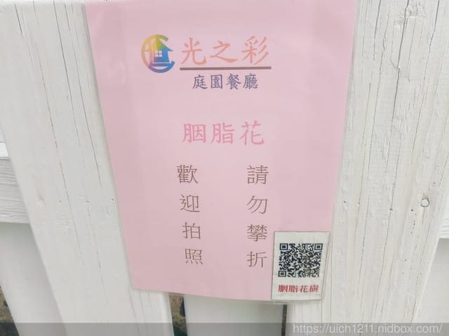 苗栗獅潭鄉之旅