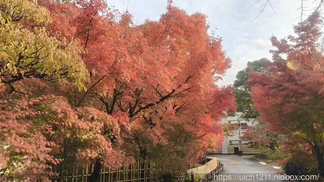 大阪賞楓之旅2 - 第9張圖 大阪賞楓之旅2