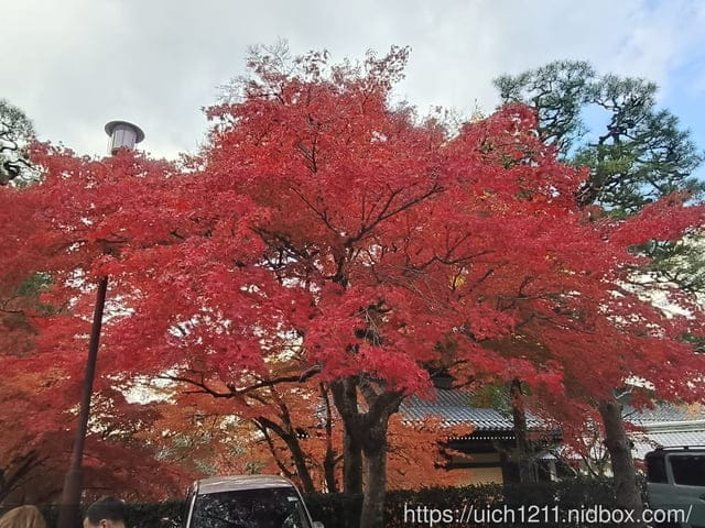 大阪賞楓之旅2 - 第100張圖 大阪賞楓之旅2