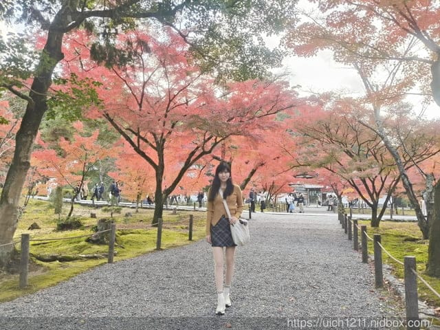 大阪賞楓之旅2 - 第4張圖 大阪賞楓之旅2