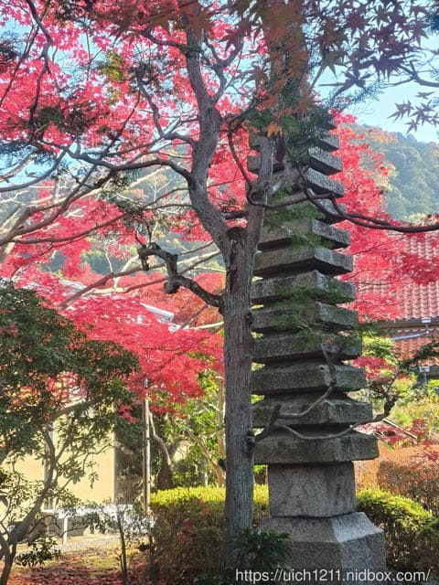 大阪賞楓之旅2 - 第43張圖 大阪賞楓之旅2