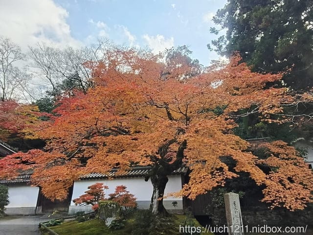 大阪賞楓之旅2 - 第21張圖 大阪賞楓之旅2