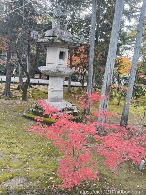 大阪賞楓之旅2 - 第87張圖 大阪賞楓之旅2