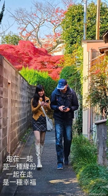 大阪賞楓之旅2 - 第40張圖 大阪賞楓之旅2
