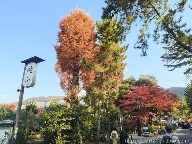 大阪賞楓之旅2 - 第77張圖 大阪賞楓之旅2