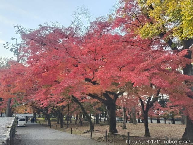 大阪賞楓之旅2 - 第6張圖 大阪賞楓之旅2