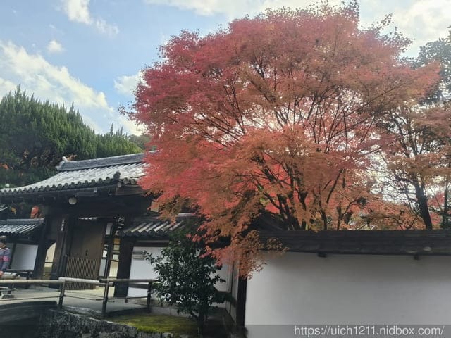 大阪賞楓之旅2 - 第85張圖 大阪賞楓之旅2
