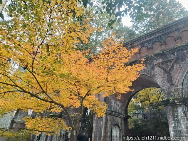 大阪賞楓之旅2 - 第98張圖 大阪賞楓之旅2