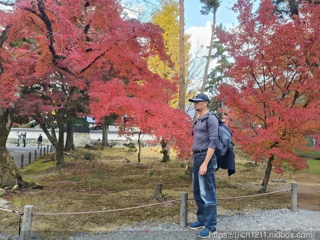 大阪賞楓之旅2 - 第28張圖 大阪賞楓之旅2