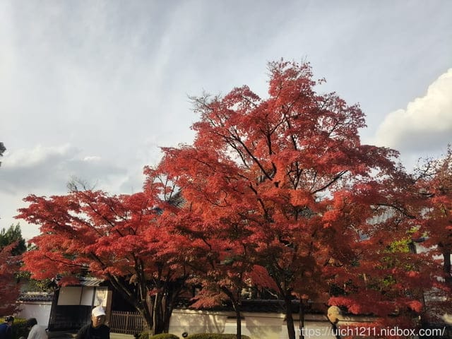 大阪賞楓之旅2 - 第11張圖 大阪賞楓之旅2
