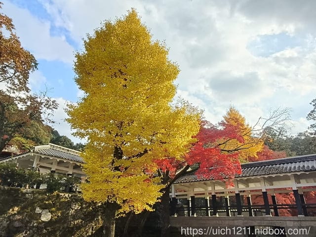 大阪賞楓之旅2 - 第20張圖 大阪賞楓之旅2