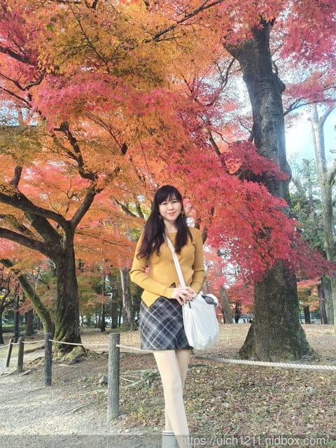 大阪賞楓之旅2 - 第88張圖 大阪賞楓之旅2