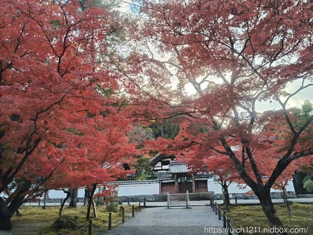 大阪賞楓之旅2 - 第30張圖 大阪賞楓之旅2