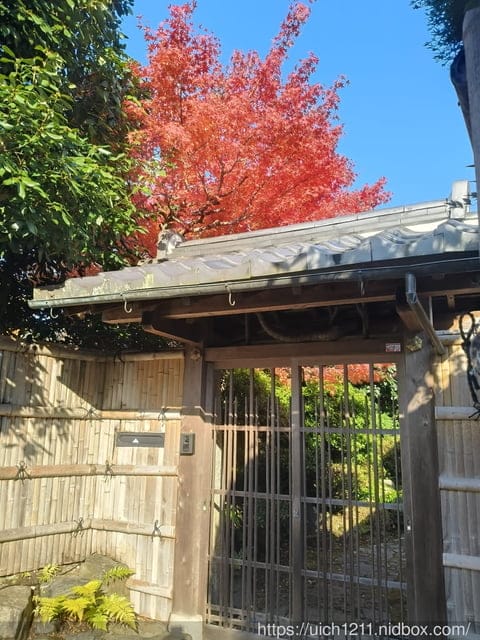 大阪賞楓之旅2 - 第44張圖 大阪賞楓之旅2