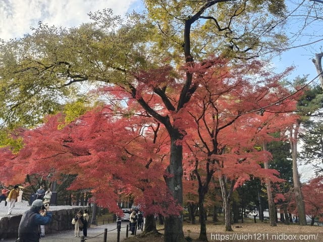 大阪賞楓之旅2 - 第89張圖 大阪賞楓之旅2