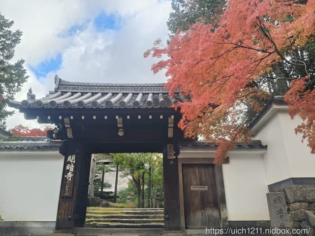 大阪賞楓之旅3