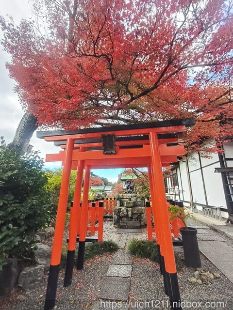 大阪賞楓之旅3