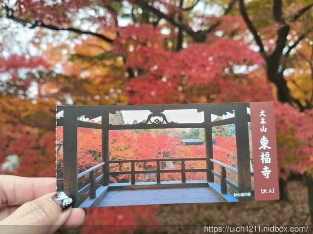大阪賞楓之旅3
