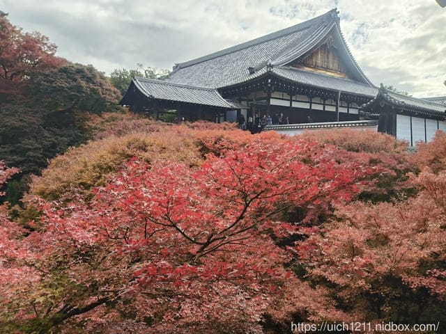 大阪賞楓之旅3