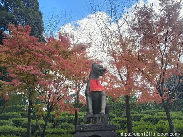 大阪賞楓之旅3
