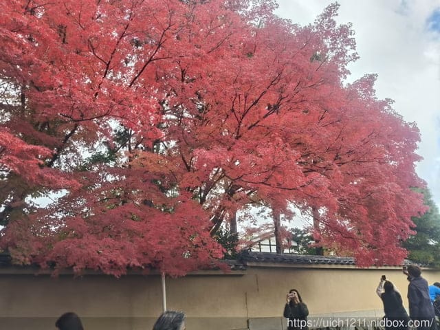 大阪賞楓之旅3
