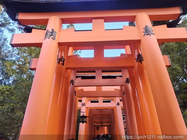 大阪賞楓之旅3