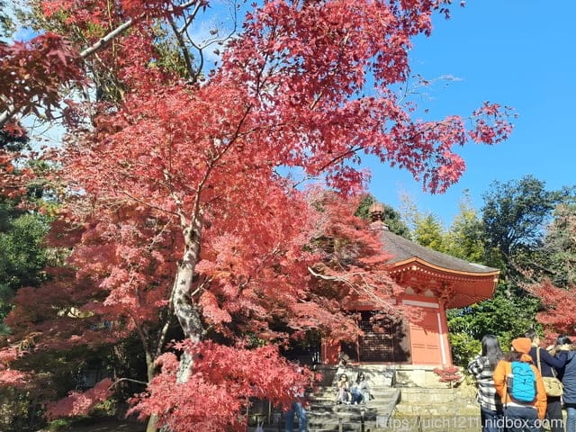 大阪賞楓之旅3