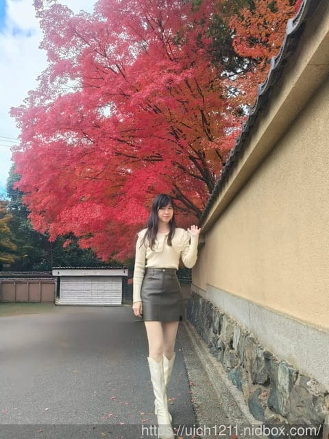 大阪賞楓之旅3