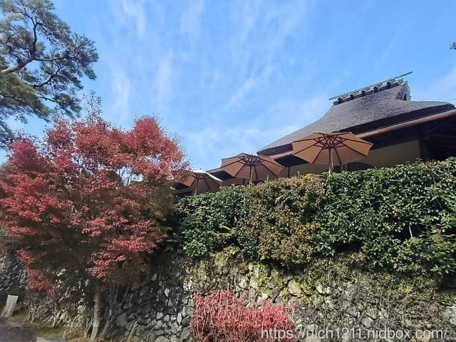 大阪賞楓之旅4 - 第33張圖 大阪賞楓之旅4