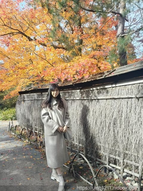大阪賞楓之旅4 - 第40張圖 大阪賞楓之旅4