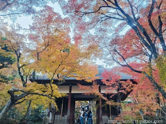 大阪賞楓之旅4 - 第82張圖 大阪賞楓之旅4