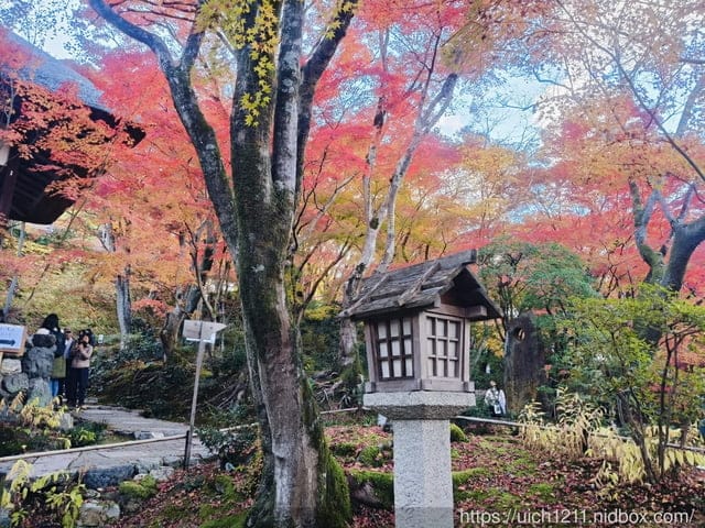 大阪賞楓之旅4 - 第83張圖 大阪賞楓之旅4